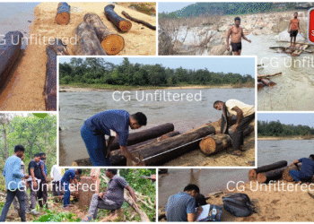 फिल्मी तर्ज पर लकड़ी की तस्करी