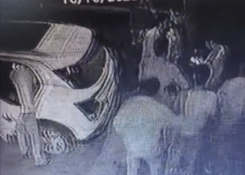 धनतेरस पर रायपुर क्राइम ब्रांच के पांच पुलिसकर्मियों पर चोरी का आरोप