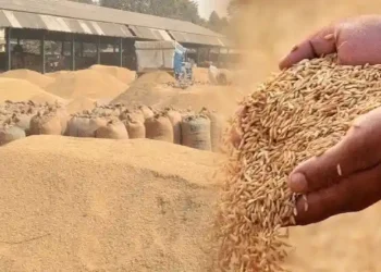 दीपावली में किसानो की रहेगी जेब खाली कैसी मनेगी दीपावली .