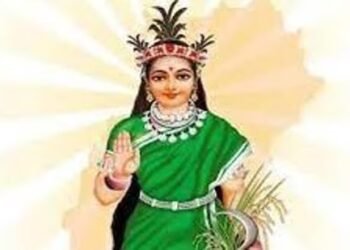 अग्रवाल समाज ने गढ़ी थी छत्तीसगढ़ महतारी की पहली प्रतिमा, आज उसी समाज पर हो रहा विवाद; उलझा हुआ इतिहास सामने आया