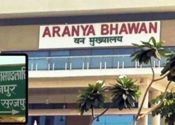 CG NEWS: खेत में रखवाली कर रहे किसान दंपत्ति को हाथियों ने कुचला, दोनों की दर्दनाक मौत