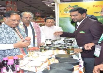 कोसा-सिल्क से ढोकरा कला तक… अंतरराष्ट्रीय मेले में छत्तीसगढ़ी हुनर की गूँज