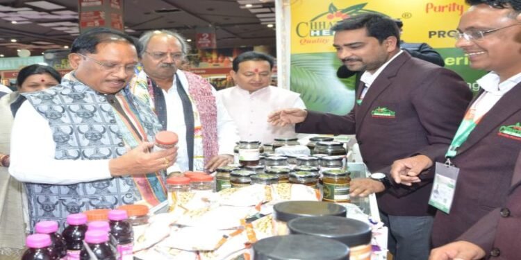 कोसा-सिल्क से ढोकरा कला तक… अंतरराष्ट्रीय मेले में छत्तीसगढ़ी हुनर की गूँज