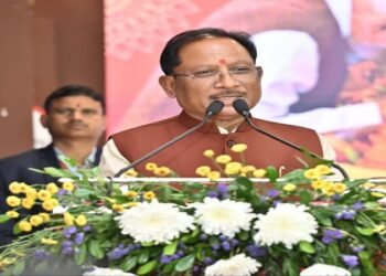 संविधान में आस्था रखकर आगे बढ़ रहा है विश्व का सबसे बड़ा लोकतंत्र भारत : मुख्यमंत्री साय