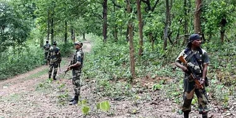 ब्रेकिंग न्यूज़: सुकमा में सुरक्षाबलों और नक्सलियों के बीच बड़ी मुठभेड़, तीन नक्सलियों के मारे जाने की खबर