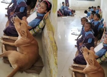 CG NEWS: स्कूल का सबसे ‘क्यूट’ स्टूडेंट; कक्षा में बच्चों संग स्वर मिलाता डॉगी! देखें वीडियो