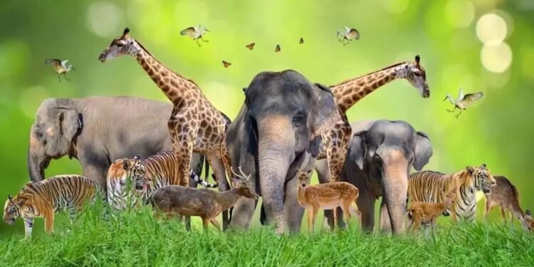 छत्तीसगढ़ में शुरू होगी वन्य प्राणियों को गोद लेने की योजना, नागरिक और संस्थाएं कर सकेंगे दान