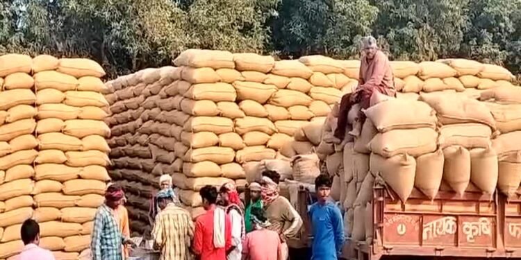 छत्तीसगढ़ में धान खरीदी ने तोड़े सारे रिकॉर्ड, 5 दिन में 14.54 लाख क्विंटल धान की खरीदी