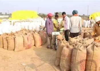 छत्तीसगढ़ में आज से शुरू हुई धान खरीदी, मंत्री दयालदास ने किया शुभारंभ 