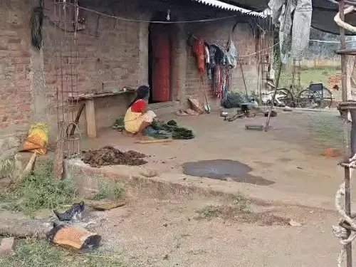 CG NEWS: एक ही परिवार के 3 बच्चों की मौत, झोलाछाप डॉक्टर और तंत्र-मंत्र ने छीन ली मासूमों की जिंदगी