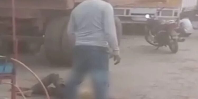 मानवता शर्मसार: दिव्यांग व्यक्ति के चेहरे पर युवक ने किया पेशाब, देखें वीडियो