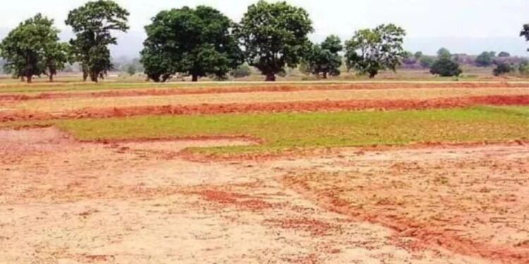 CG NEWS: उद्योग न लगाने वाले 240 उद्यमियों पर बड़ी कार्रवाई; सीएसआईडीसी ने रद्द किए भूखंड आवंटन