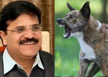 CG NEWS: आवारा कुत्तों का आतंक; पूर्व महापौर प्रमोद दुबे के बेटे पर हमला, सड़क में दौड़ा-दौड़ाकर काटा