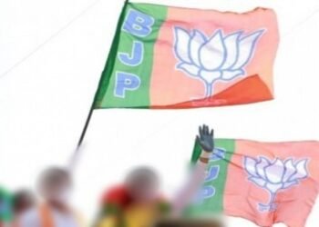 बीजेपी ने दिया सोनिया गांधी को टिकट, केरल के मुन्नार से लड़ रही हैं चुनाव