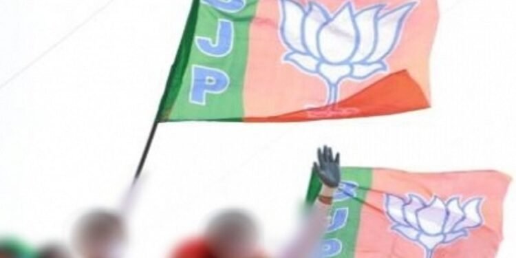 बीजेपी ने दिया सोनिया गांधी को टिकट, केरल के मुन्नार से लड़ रही हैं चुनाव