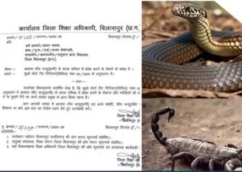 CG NEWS: शिक्षकों पर अब ‘सांप-बिच्छू निगरानी’ की जिम्मेदारी! DPI के आदेश से नाराज शिक्षक बोले- “हम पढ़ाएं या खतरा टालें?”