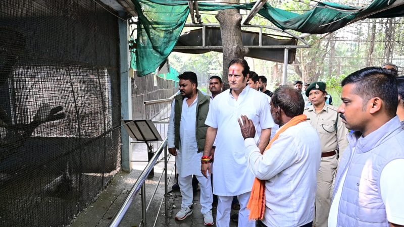 “नंदनवन की पहचान नष्ट कर रही सरकार”, विकास उपाध्याय का भाजपा पर हमला