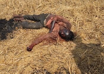 BREAKING NEWS: रायपुर में एक और हत्या; खेत से खून से लथपथ मिला युवक का शव, वीडियो