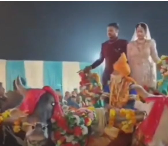 बैलगाड़ी पर दूल्हा-दुल्हन की धांसू एंट्री, रिसेप्शन में मेहमान रह गए दंग,देखें वीडियो वायरल