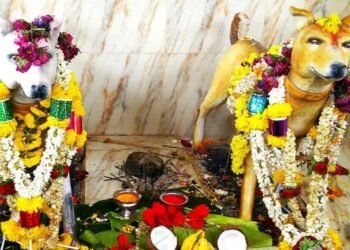 भगवान की जगह यहां बना है कुत्तों का मंदिर, हर मनोकामना होती है पूरी!