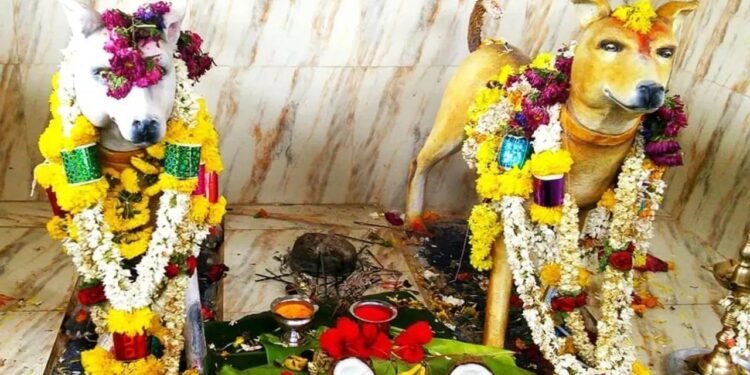 भगवान की जगह यहां बना है कुत्तों का मंदिर, हर मनोकामना होती है पूरी!