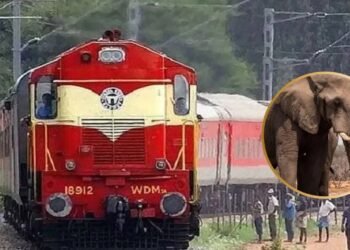 हाथियों के झुंड से टकराई राजधानी एक्सप्रेस, 8 हाथियों की मौत…5 डिब्बे पटरी से उतरे