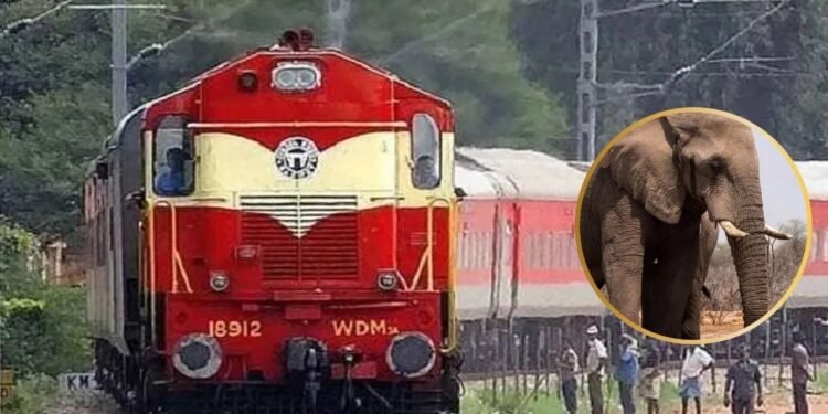 हाथियों के झुंड से टकराई राजधानी एक्सप्रेस, 8 हाथियों की मौत…5 डिब्बे पटरी से उतरे