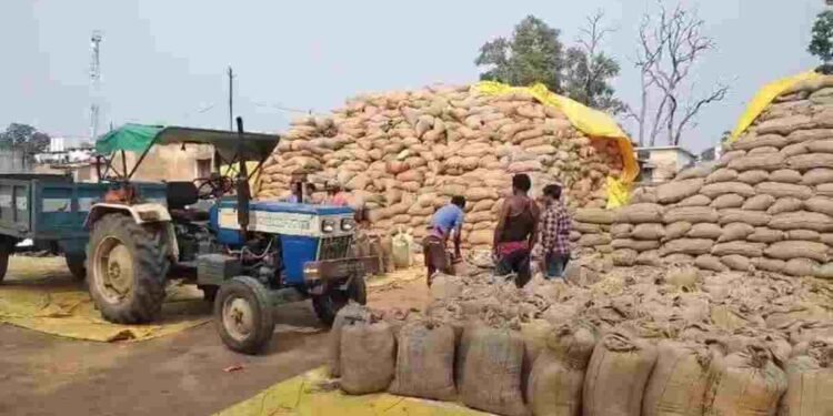 CG NEWS: धान खरीदी में किसानों को बड़ी राहत, ऑफलाइन टोकन की अनिवार्यता खत्म
