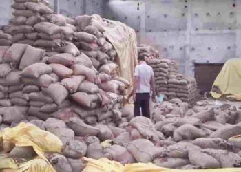 Bhatapara warehouse accident: वेयरहाउस में चने की बोरियां गिरने से दो मासूम भाई-बहनों की मौत, पसरा मातम