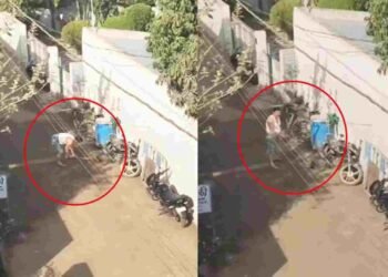 CG NEWS: “वर्दी का रसूख या हैवानियत? पुलिसकर्मी ने डॉगी को हॉकी से पीट-पीटकर मारा, देखें वीडियो