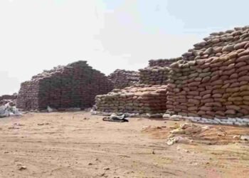 कवर्धा धान घोटाला: 7 करोड़ का धान ‘चूहे’ खा गए! अब समिति प्रबंधक पर FIR