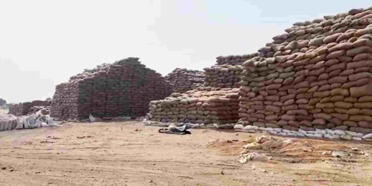 कवर्धा धान घोटाला: 7 करोड़ का धान ‘चूहे’ खा गए! अब समिति प्रबंधक पर FIR