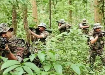 CG BREAKING: बीजापुर में सुरक्षाबलों और नक्सलियों की मुठभेड़, दो नक्सली ढेर