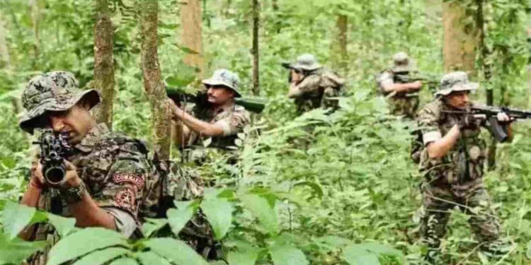 CG BREAKING: बीजापुर में सुरक्षाबलों और नक्सलियों की मुठभेड़, दो नक्सली ढेर