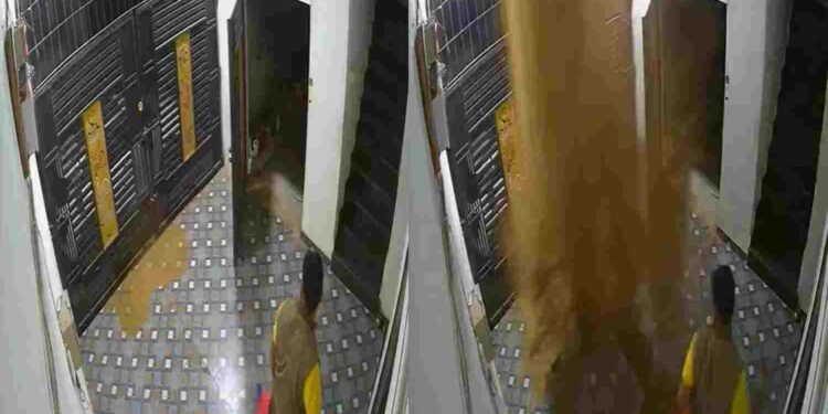 CG NEWS: हाई प्रेशर बोरिंग से फूटा पानी, पड़ोसी के घर की ज़मीन फाड़कर निकला फव्वारा, VIDEO