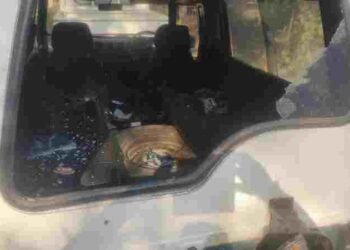 सीतानदी टाइगर रिजर्व में हाथी का हमला, अफसरों की जिप्सी क्षतिग्रस्त