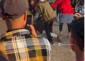 CG NEWS: तीन युवतियों ने युवक को घसीटकर पीटा, देखें वीडियो