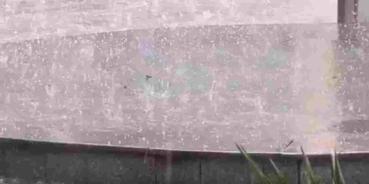 दिल्ली में बारिश, नोएडा में गिरे ओले… अचानक बढ़ी ठंड, रेड अलर्ट जारी