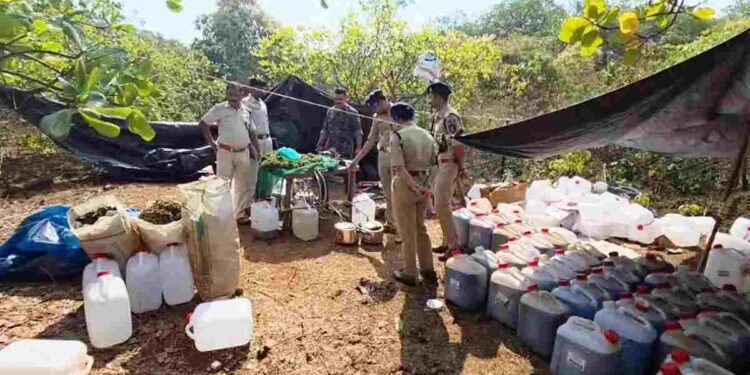 CG NEWS: गांजा तस्करी पर बड़ा प्रहार: 1800 लीटर गांजा तेल और 1144 किलो गांजा जब्त