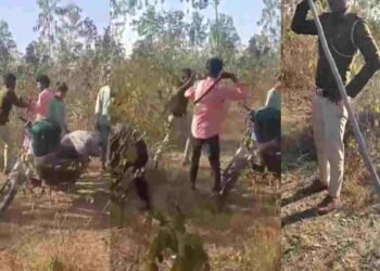 CG NEWS: गार्ड और गर्लफ्रेंड को ग्रामीणों ने जंगल में पकड़ा, वीडियो सोशल मीडिया पर वायरल