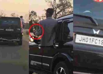 CG NEWS: चलती कार पर लटकते छात्र, हाथ में शराब, छात्रों की स्टंटबाजी वीडियो वायरल