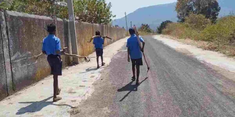 CG NEWS: स्कूल में पढ़ाई के बजाय बच्चों से ढुलवाई गई लकड़ियां, वीडियो वायरल होने के बाद जांच के आदेश