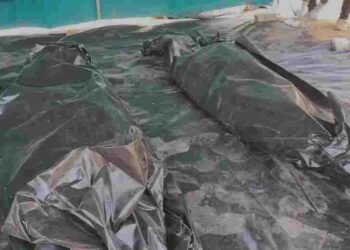 छत्तीसगढ़-ओडिशा सीमा पर मुठभेड़ में दो इनामी माओवादी ढेर