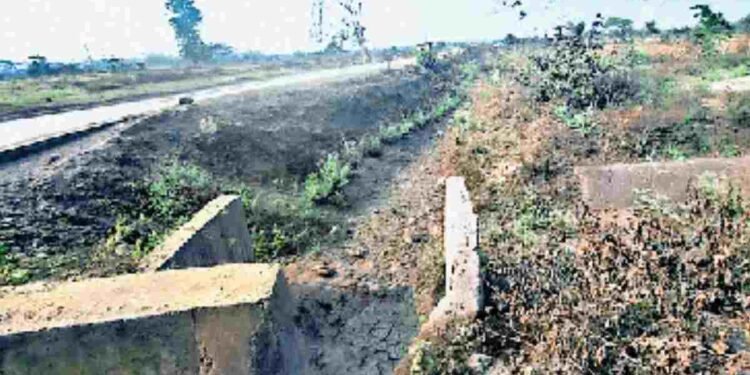 CG NEWS: बुजुर्ग विधवा दूजबाई के मुआवजे का पांच लाख का घोटाला, तहसील में लापरवाही का आरोप