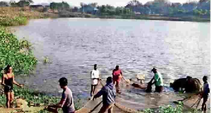 CG NEWS: मछली समझकर खींच रहे थे जाल, बाहर निकला 8 फीट का ‘काल’! मछुआरों के छूटे पसीने