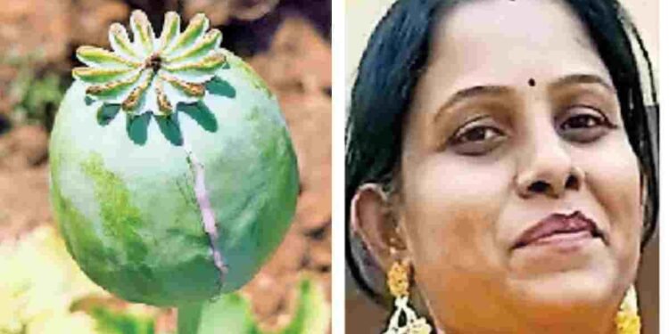 दुर्ग में अफीम की अवैध खेती का मामला: कृषि विस्तार अधिकारी निलंबित, पटवारी और सर्वेयर को नोटिस