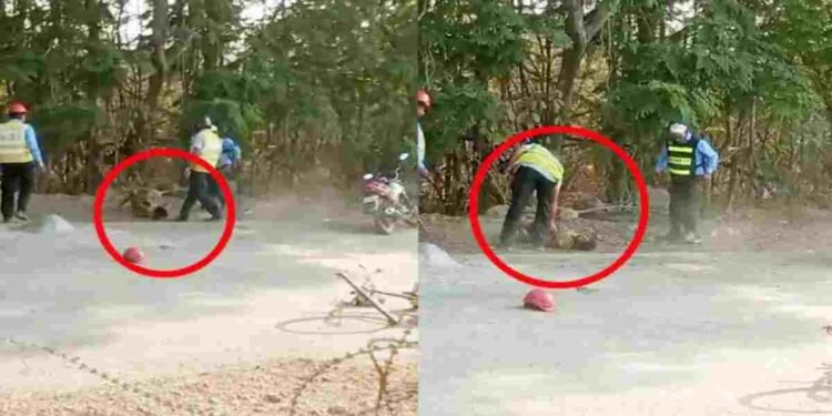 CG NEWS- अडानी फैक्ट्री के गार्ड बने जल्लाद, आम तोड़ने गए बच्चे को उठा-उठाकर पटका, मासूम हुआ मरणासन्न, देखें वीडियो