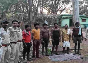 CG NEWS: नीलगाय का अवैध शिकार: तीर मारकर हत्या, डॉग स्कॉड ने शिकारियों को दबोचा