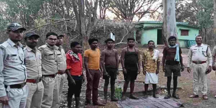 CG NEWS: नीलगाय का अवैध शिकार: तीर मारकर हत्या, डॉग स्कॉड ने शिकारियों को दबोचा