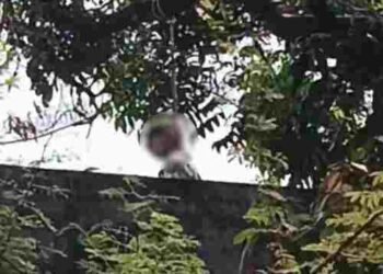 आत्महत्या से दहला प्रदेश- बिलासपुर में 11वीं के छात्र ने पेड़ पर लगाई फांसी, सक्ती में बाथरूम में लटकी मिली 10 साल की बच्ची